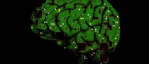 brain 2